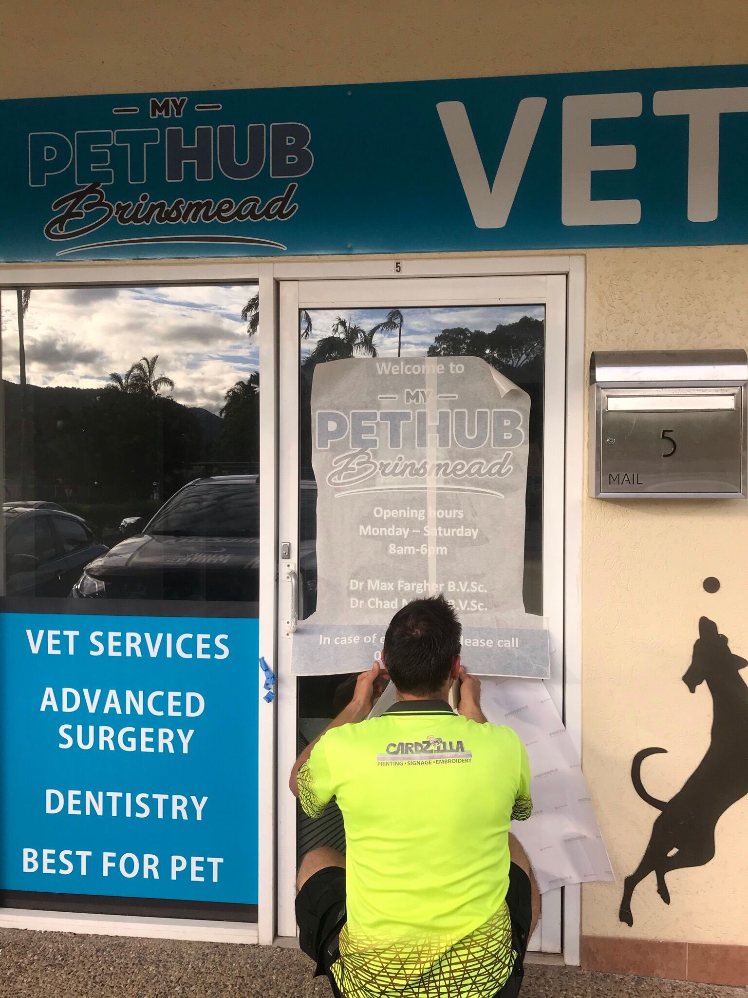 Window Decals